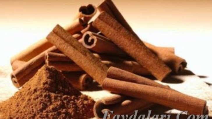 Kabuk Tarçının Faydaları