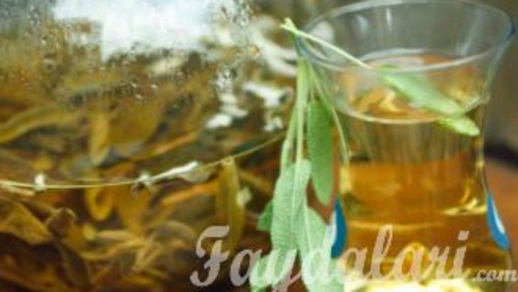 Adaçayının Faydaları