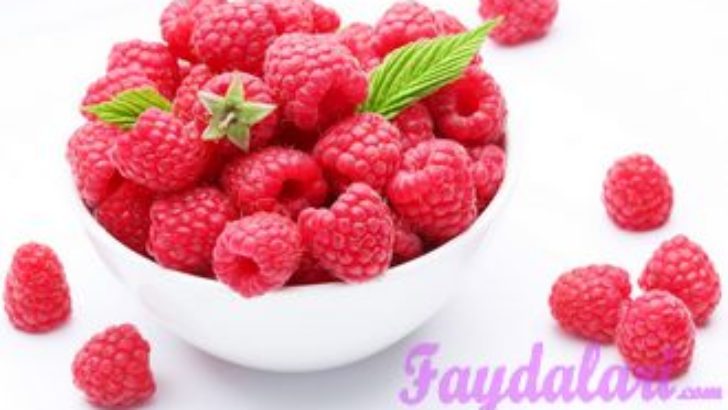 Ahududunun Faydaları