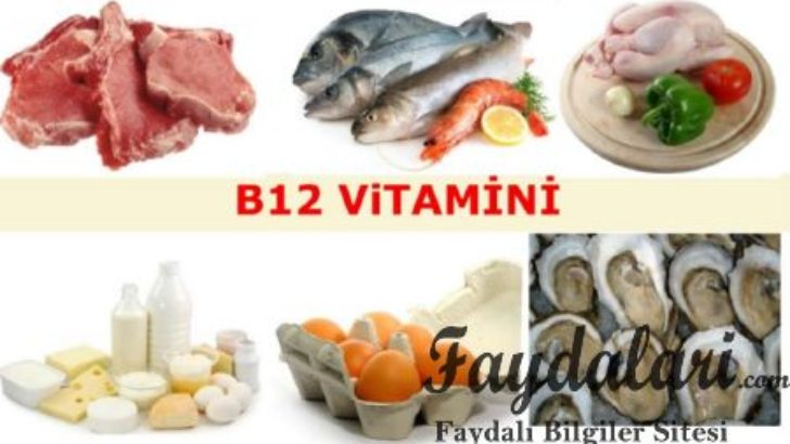 B12 Vitamini Faydaları