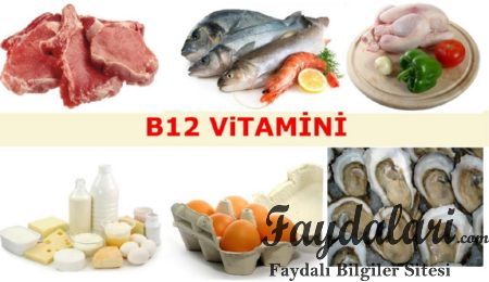 B12 vitamininin yararları