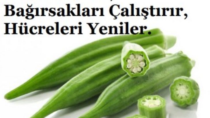 Bamyanın Faydaları
