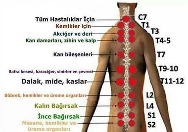 Hacamatın faydaları