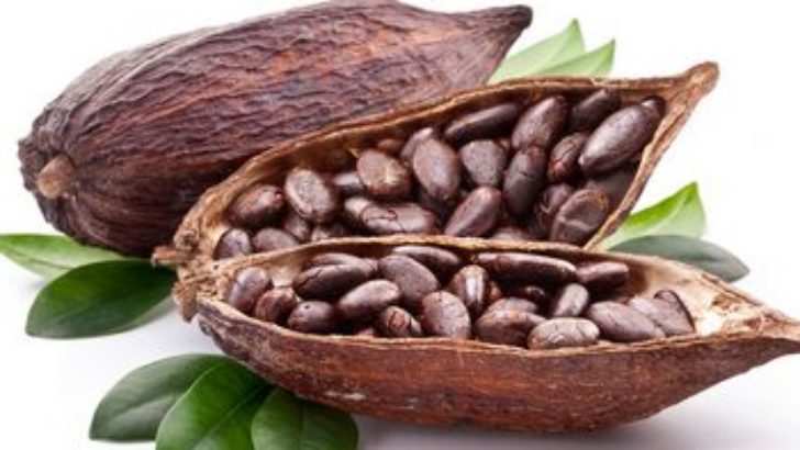 Kakaonun Faydaları
