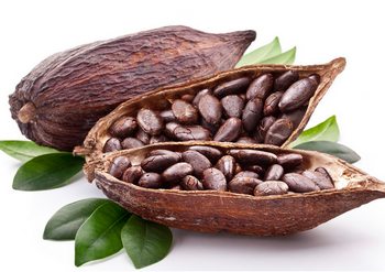 Kakaonun mucizevi faydaları