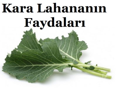 Kara Lahananın Faydaları ve Zararları