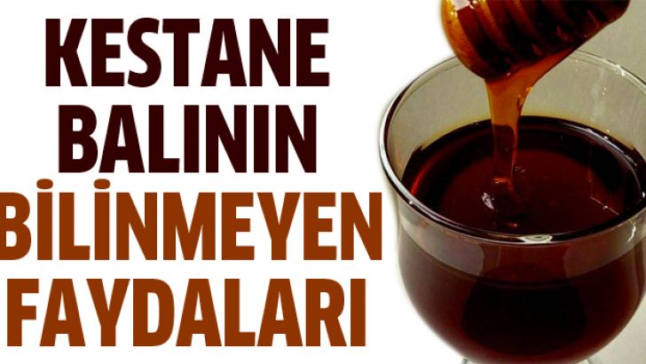 Kestane Balının Faydaları