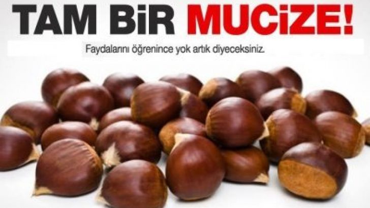 Kestanenin Faydaları