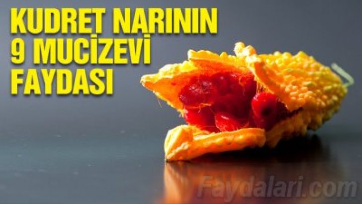 Kudret Narı Faydaları ve Zararları