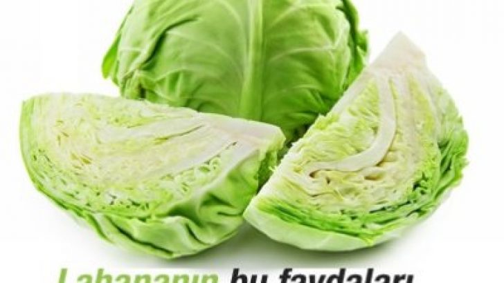 Lahananın Faydaları