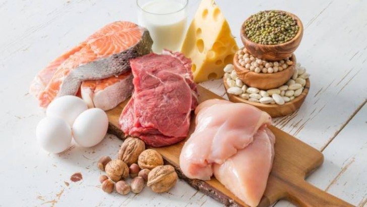 Proteinin Faydaları