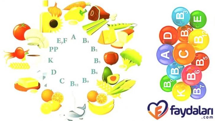 Vitaminlerin Faydaları