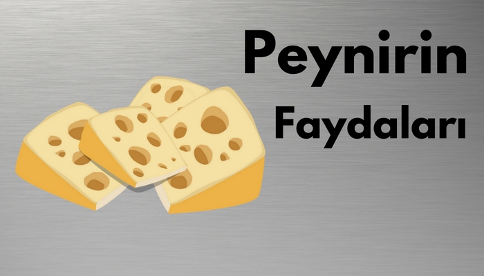 peynirin-faydalari