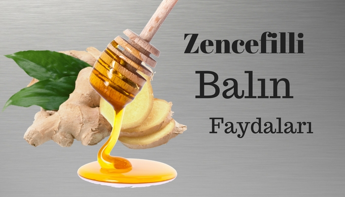 zencefilli-balin-faydalari