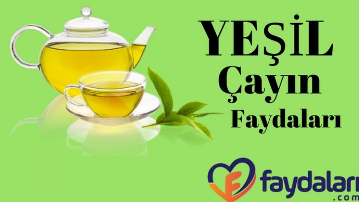 Yeşil Çayın Faydaları