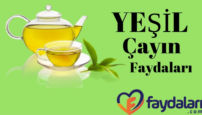 yesil-cayin-faydalari-1