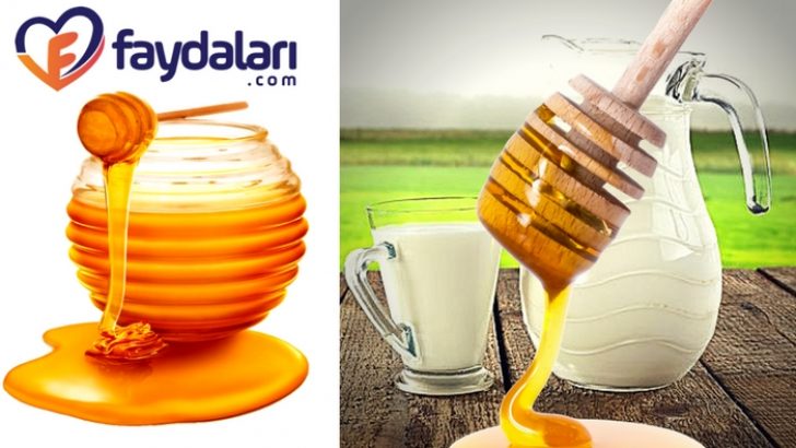 Ballı sütün faydaları ve zararları nelerdir?