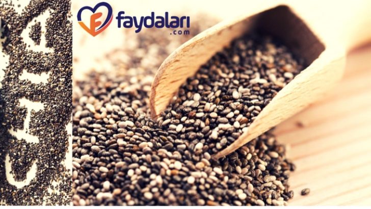 Chia Tohumu Faydaları