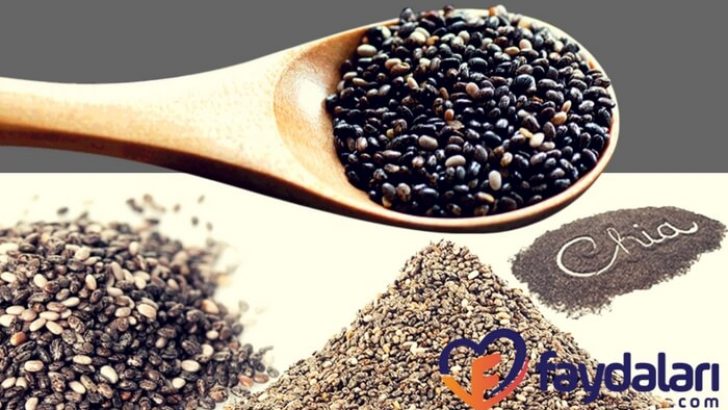 Chia Tohumu Nasıl Tüketilir ?