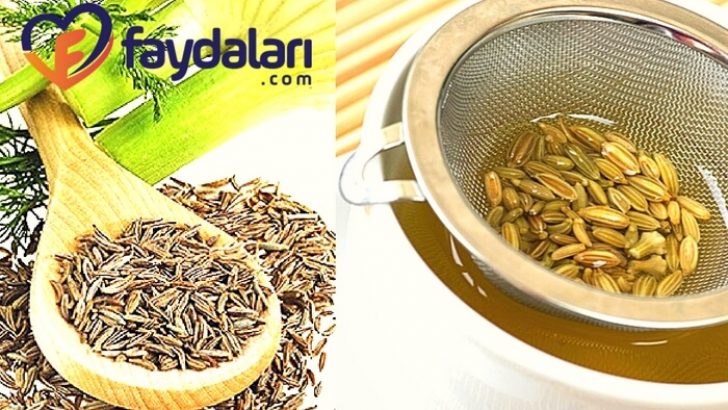 Rezene Çayı Nasıl Hazırlanır Faydaları Zararları Nelerdir Rezene Çayı Nasıl Hazırlanır Faydaları Zararları Nelerdir