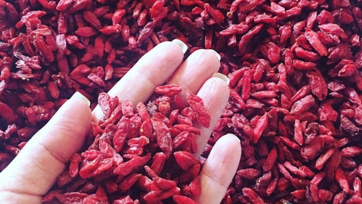 Goji Berry Günde Ne Kadar Tüketilmeli?