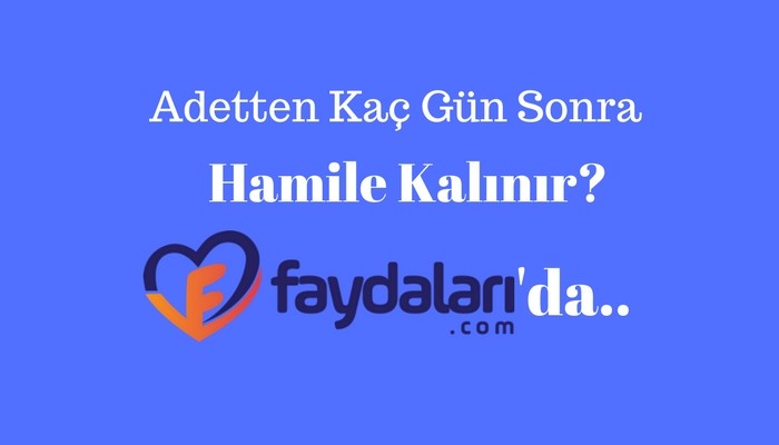 adetten kac gun sonra hamile kalinir