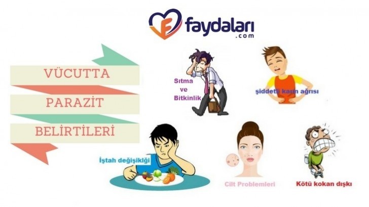 Vücuttaki parazit belirtileri