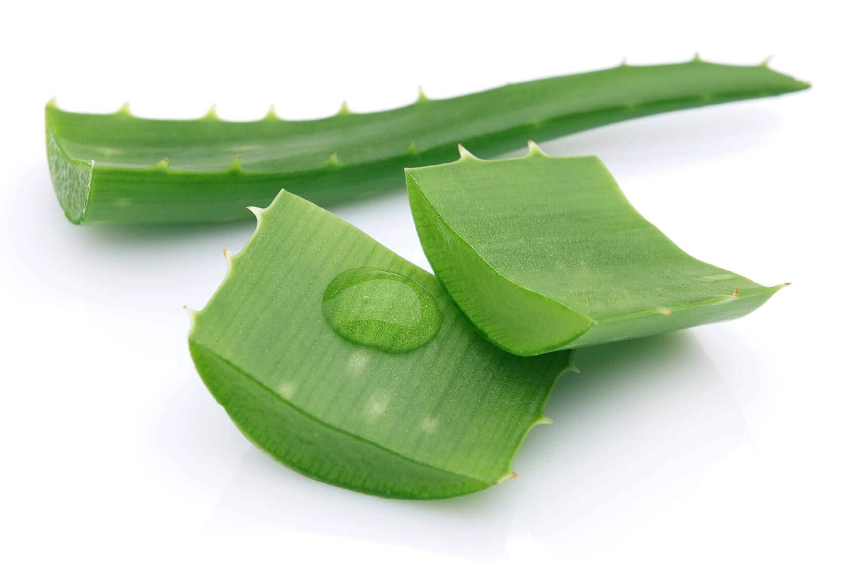 aloe vera bitkisinin faydalari