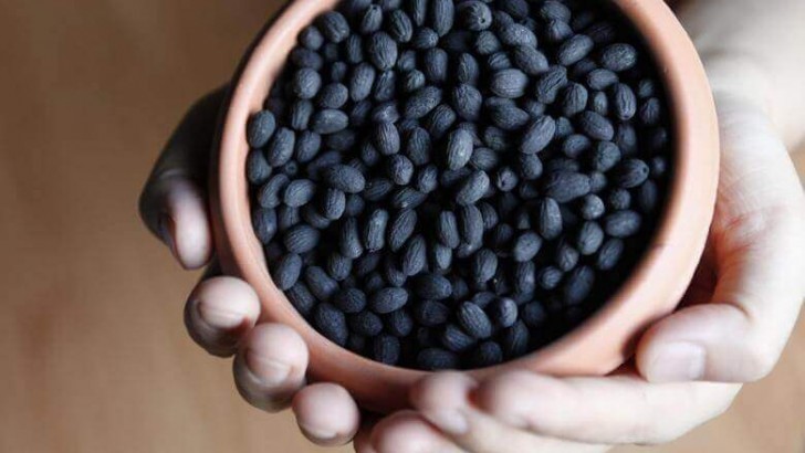 Zeytin Çekirdeğinin Faydaları