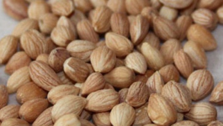 Mahlep Nedir? Kullanım alanı Nerelerdir? Nasıl Tüketilir?