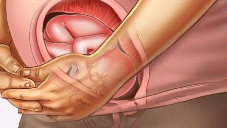 Anne Karnında 7 aylık Bebek Kaç Kilo Olmalı?