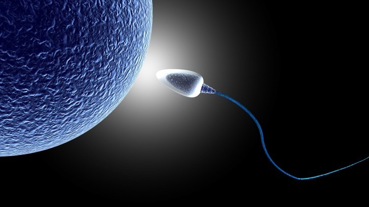 Sperm Dış Ortamda Ne Kadar Yaşar?