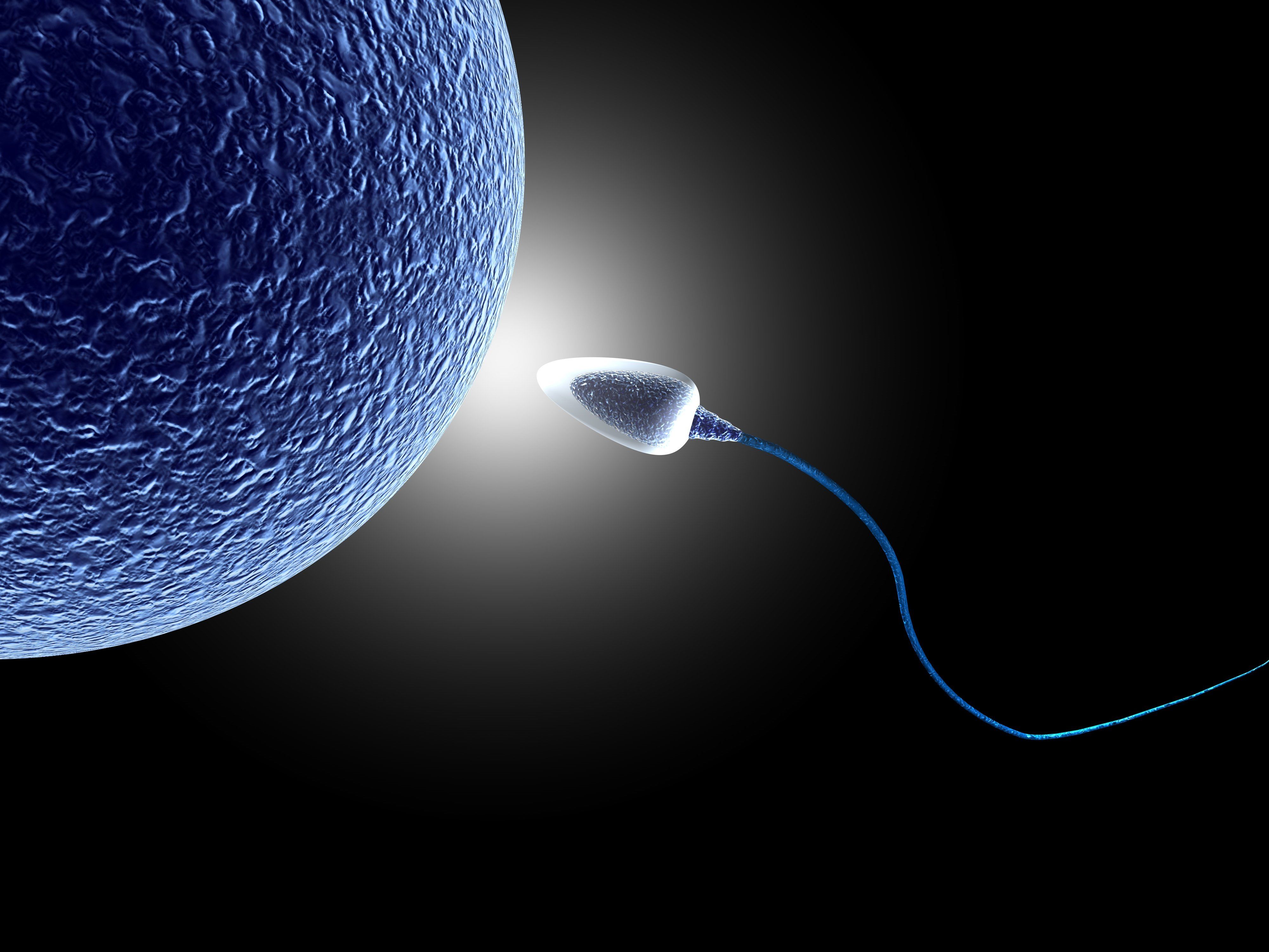 sperm disarda ne kadar zaman yasar
