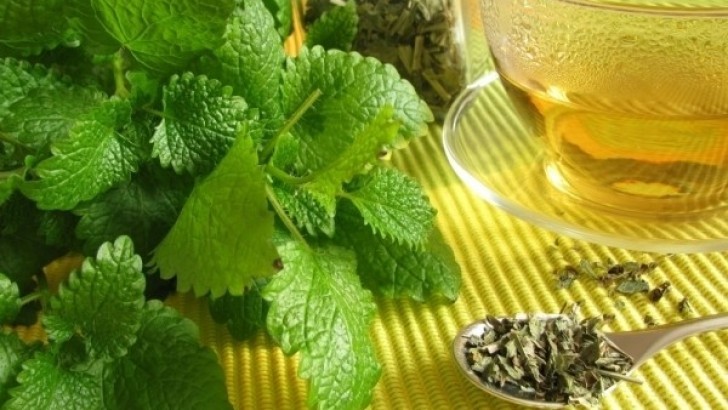 Limon Otunun Faydaları