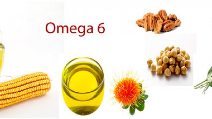 Omega 6’nın Faydaları
