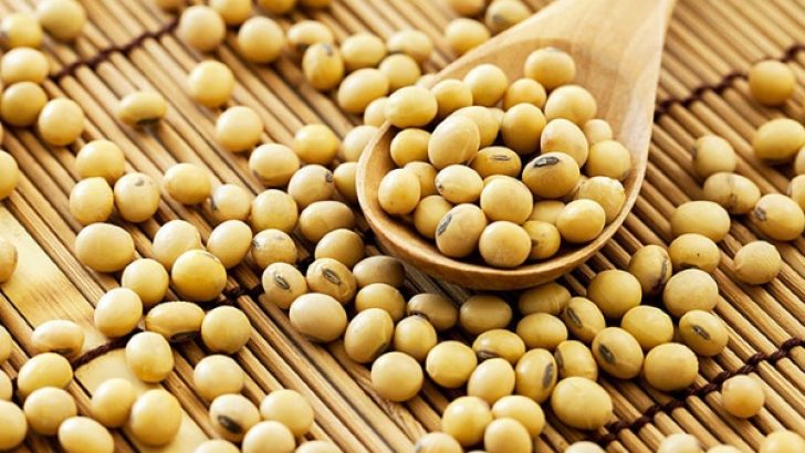 Soya Fasulyesinin Faydaları