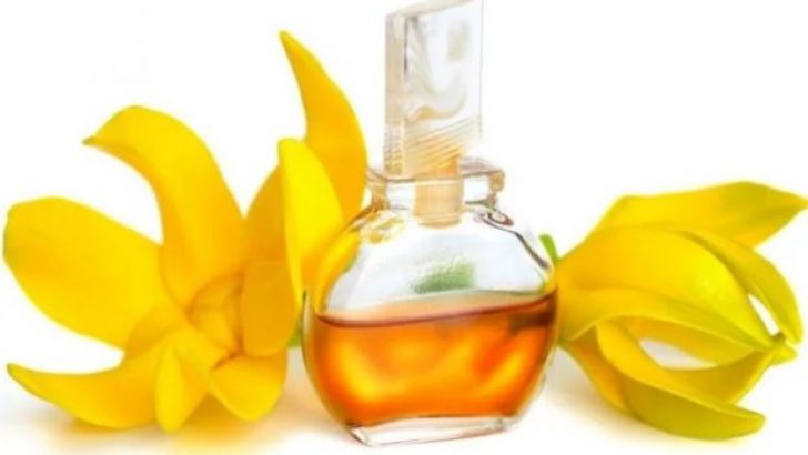 Ylang Ylang Yağı Faydaları Nelerdir, Ylang Yağı Nasıl Kullanılır?