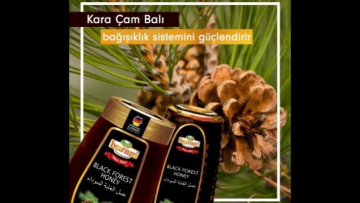 Siyah Çam Balının Faydaları