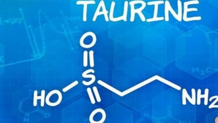 Taurin Nedir ve Faydaları Nelerdir?